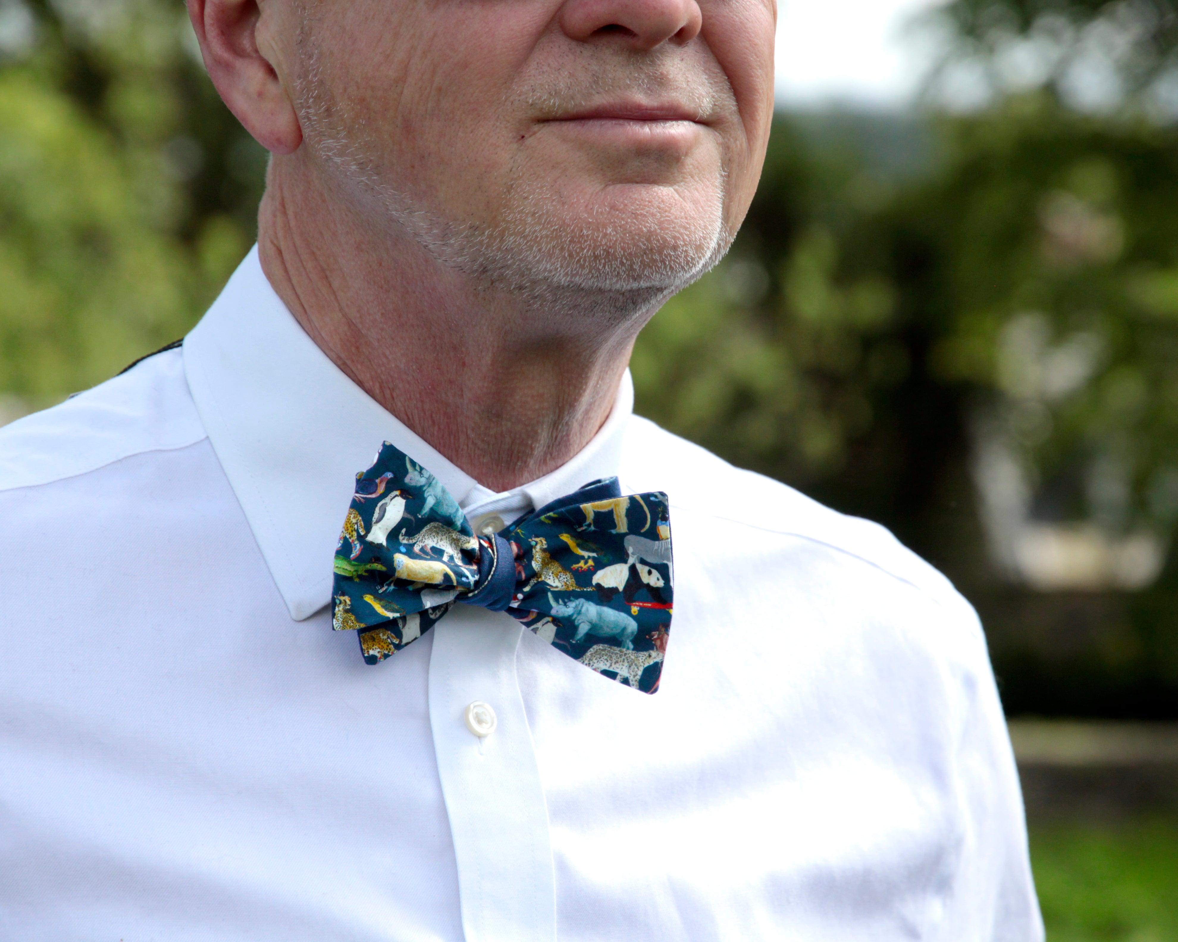 Queue for the Zoo Liberty Cotton Bow Tie