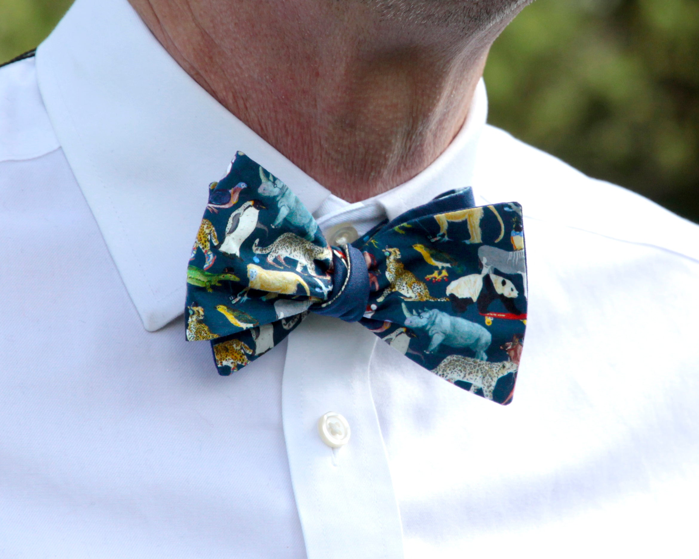 Queue for the Zoo Liberty Cotton Bow Tie